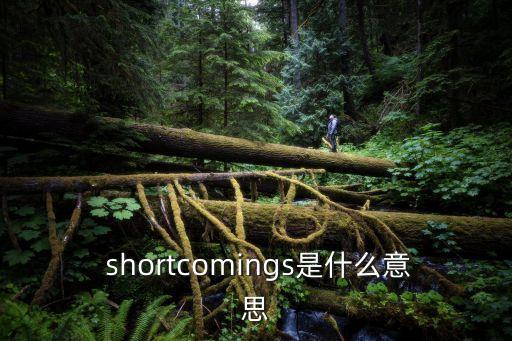 shortcoming,一文讀懂!新加坡大選】