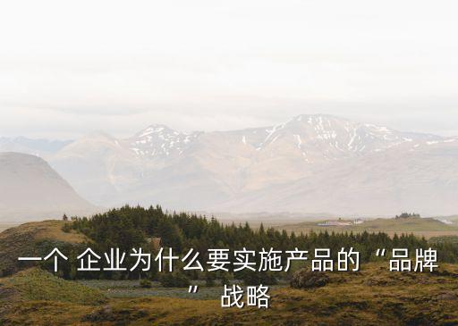 一個(gè) 企業(yè)為什么要實(shí)施產(chǎn)品的“品牌” 戰(zhàn)略