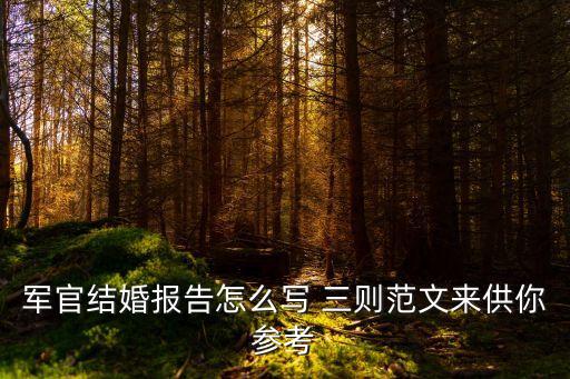 軍官結婚報告怎么寫 三則范文來供你參考