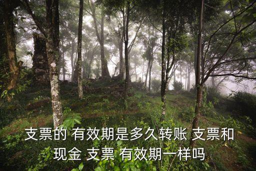 現金支票有效期,空白現金支票10日內有效
