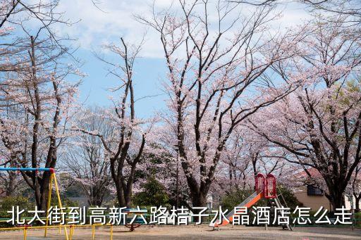 東莞桔子水晶酒店地址，北大街到高新六路桔子水晶酒店怎么走