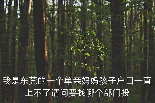 我是東莞的一個(gè)單親媽媽孩子戶(hù)口一直上不了請(qǐng)問(wèn)要找哪個(gè)部門(mén)投