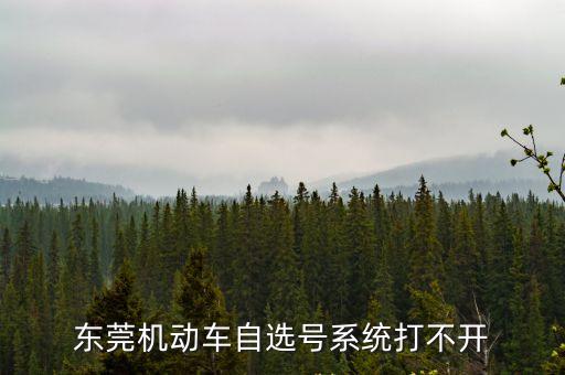 東莞機(jī)動車自選號系統(tǒng)打不開