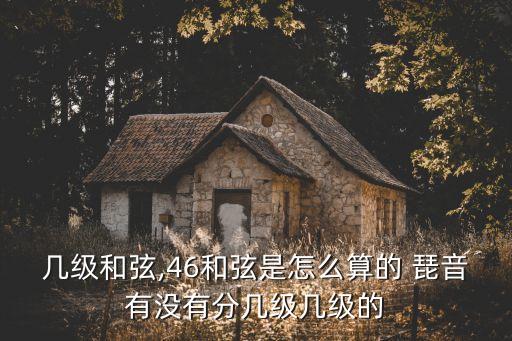 幾級和弦,46和弦是怎么算的 琵音有沒有分幾級幾級的