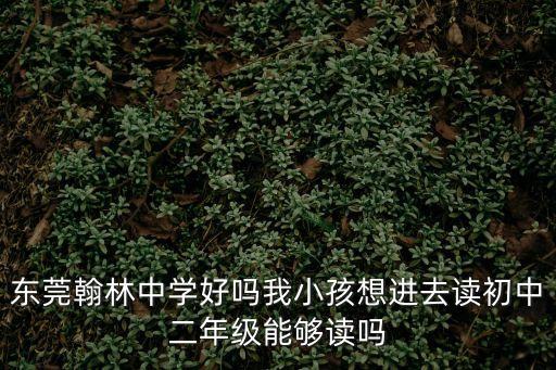 東莞翰林中學好嗎我小孩想進去讀初中二年級能夠讀嗎