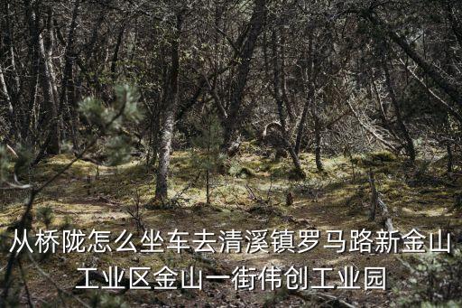 從橋隴怎么坐車去清溪鎮(zhèn)羅馬路新金山工業(yè)區(qū)金山一街偉創(chuàng)工業(yè)園