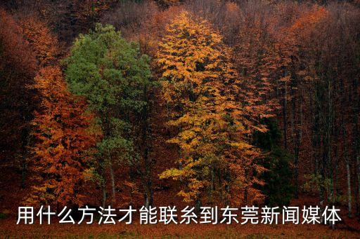 東莞陽光熱如何找，用什么方法才能聯糸到東莞新聞媒體