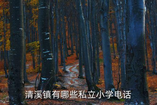 清溪鎮(zhèn)有哪些私立小學電話