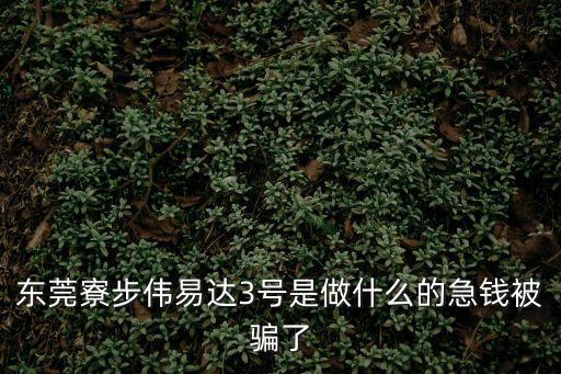 東莞?jìng)ヒ走_(dá)是做什么的，東莞?jìng)ヒ走_(dá)431部門是做什么的
