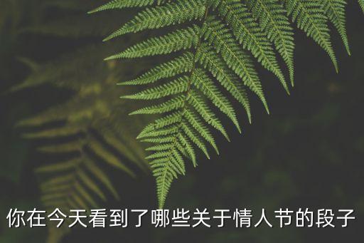 情人節(jié)段子，情人節(jié)幽默段子