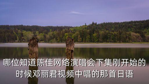 哪位知道陳佳網(wǎng)絡演唱會下集剛開始的時候鄧麗君視頻中唱的那首日語