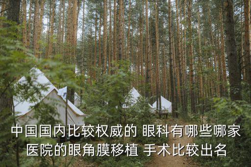 中國國內比較權威的 眼科有哪些哪家醫院的眼角膜移植 手術比較出名