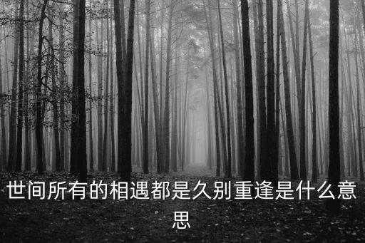 世間所有的相遇都是久別重逢是什么意思