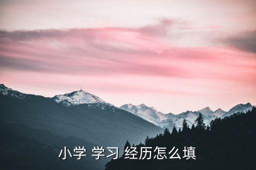 主要學習經歷怎么寫,學習經歷可直接填寫從0到**年