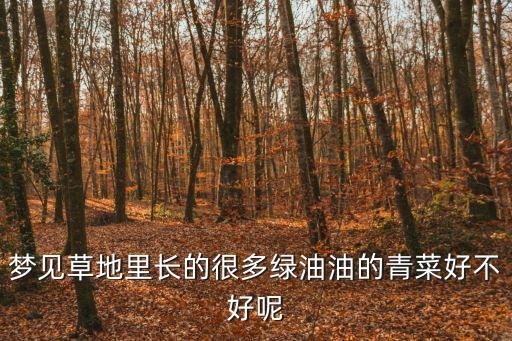 夢見草地里長的很多綠油油的青菜好不好呢