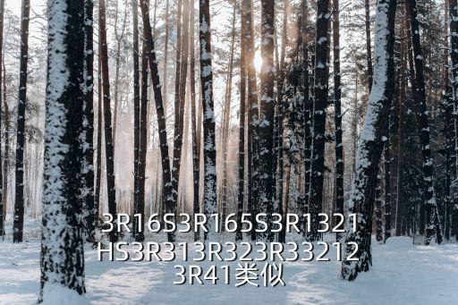 3R16S3R165S3R1321HS3R313R323R332123R41類似