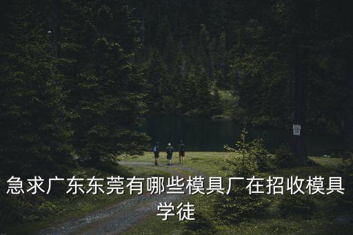 急求廣東東莞有哪些模具廠在招收模具學(xué)徒