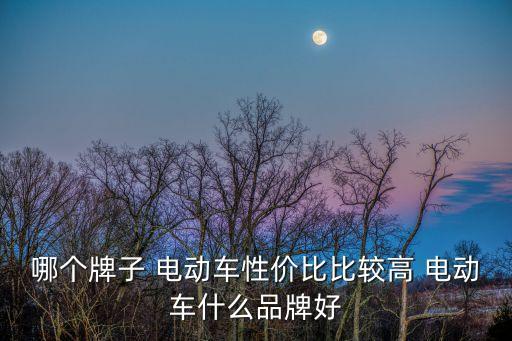 電動車那個品牌好,電動車前十名對比:雅迪成功躋身頂級品牌