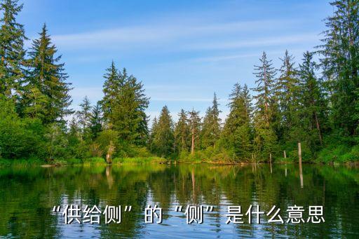 “供給側”的“側”是什么意思