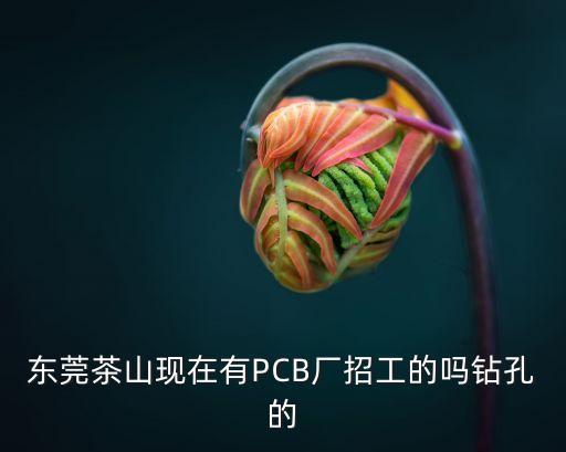 東莞茶山工廠招聘，東莞茶山附近有木什么廠招臨時工的賺點錢過年