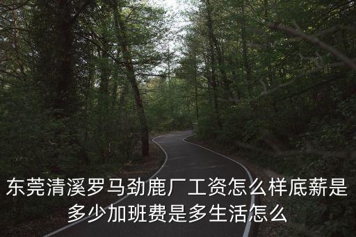 東莞清溪羅馬有什么廠，清溪鎮羅馬村天生湖的工廠哪個廠工資達三千以上