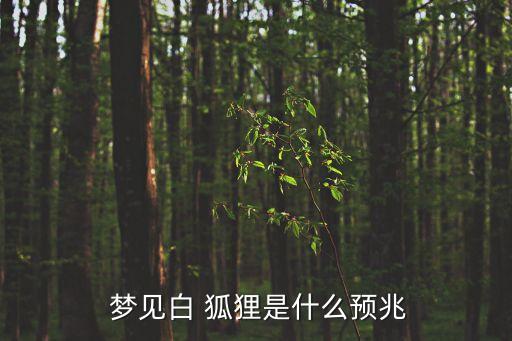  夢見白 狐貍是什么預(yù)兆