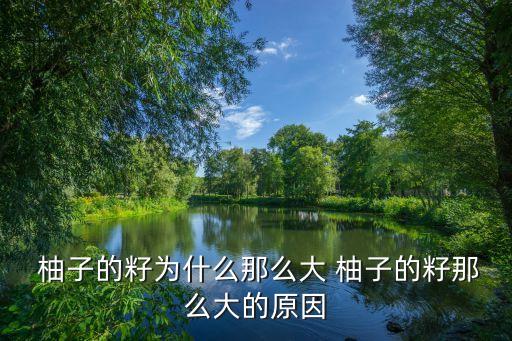  柚子的籽為什么那么大 柚子的籽那么大的原因