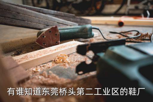 有誰知道東莞橋頭第二工業(yè)區(qū)的鞋廠