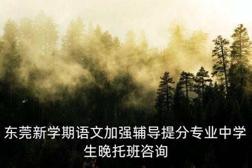 東莞市宏程教育，東莞有哪些好的一對一輔導機構開學系統(tǒng)精輔初高中文化課