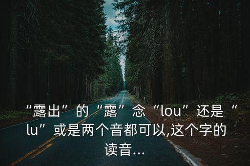 偷偷lu,漢語發(fā)音有何差別?