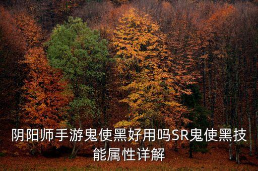 鬼使黑御魂,黑無(wú)常:殺完會(huì)立刻獲得行動(dòng)機(jī)會(huì)