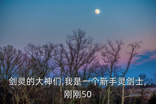 劍靈的大神們,我是一個新手靈劍士,剛剛50