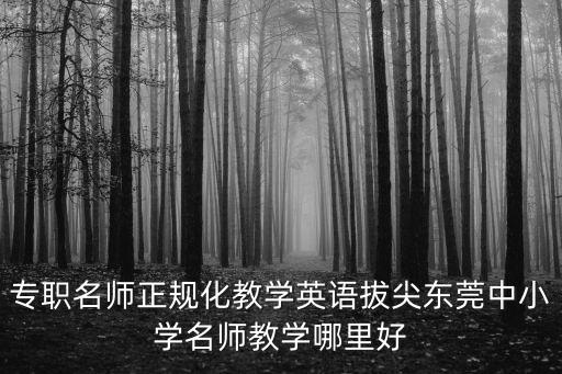 專職名師正規(guī)化教學(xué)英語(yǔ)拔尖東莞中小學(xué)名師教學(xué)哪里好