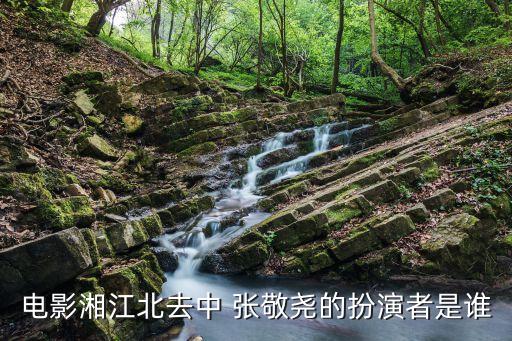 張敬堯,中國男演員曹雪芹飾演湘江北曲主演