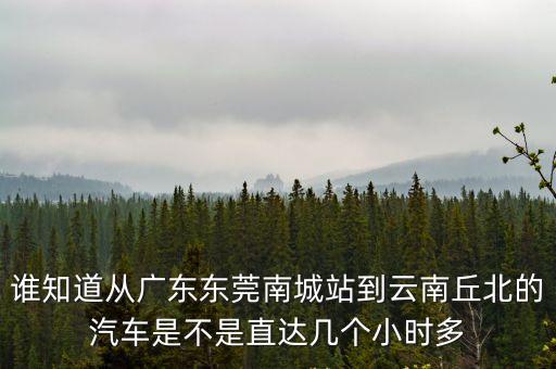 東莞到丘北車票，東莞到云南丘北多少車費現在