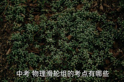 中考物理壓軸題,滑輪組與浮力組合的計算,有用功、無用功