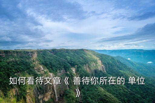 如何看待文章《 善待你所在的 單位》