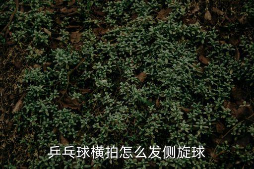 乒乓球橫拍怎么發側旋球