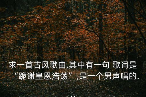 拜無憂歌詞,不拜天地，不拜高堂，今夜殿中的不是我