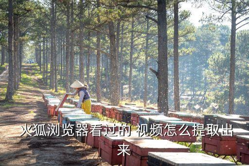 火狐視頻,具體網頁視頻下載方式如下!