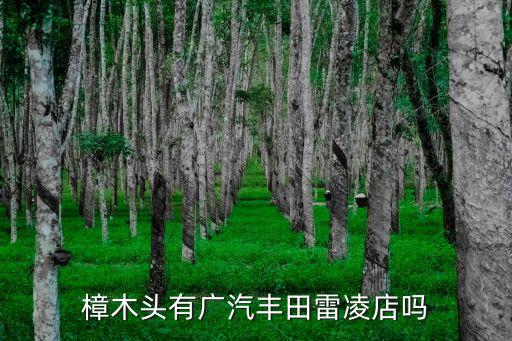 樟木頭有廣汽豐田雷凌店嗎