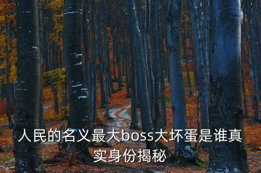 人民的名義最大boss大壞蛋是誰真實身份揭秘