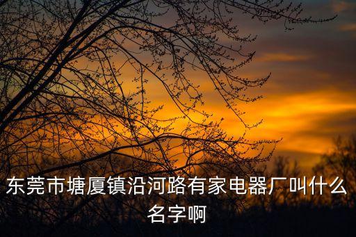 東莞市塘廈鎮沿河路有家電器廠叫什么名字啊