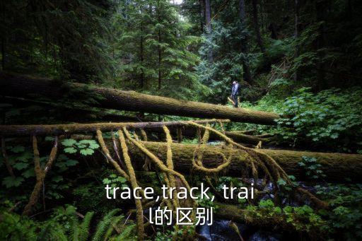 trail,trace意為某種跡象連同一連串血跡