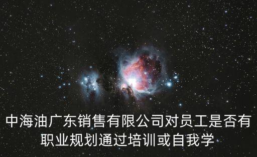 中海油廣東銷售有限公司對員工是否有職業(yè)規(guī)劃通過培訓(xùn)或自我學(xué)