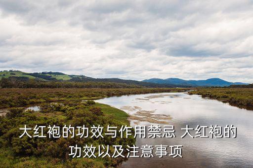  大紅袍的功效與作用禁忌 大紅袍的功效以及注意事項