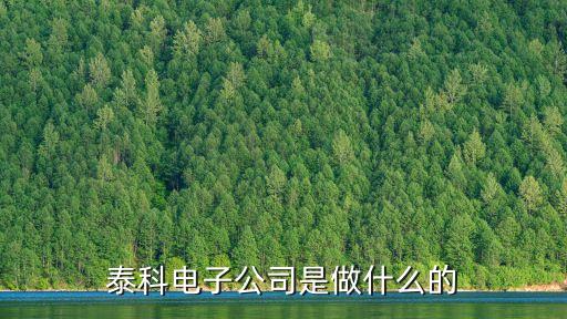 東莞泰科電子廠簡介，東莞橋頭鎮(zhèn)泰科電子廠具體廠址在哪里