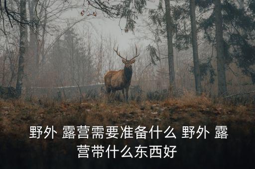  野外 露營需要準備什么 野外 露營帶什么東西好