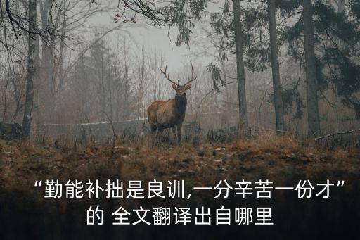 實踐論全文,勤奮的人一定是一個敢于實踐的人