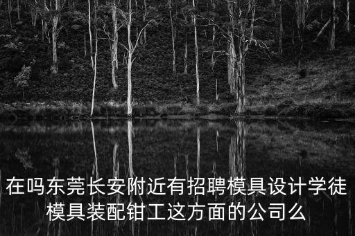 在嗎東莞長(zhǎng)安附近有招聘模具設(shè)計(jì)學(xué)徒模具裝配鉗工這方面的公司么